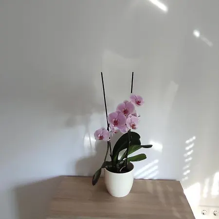 Zelena Oaza 75 M2 - 2 Bedrooms Sisan
